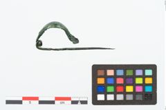 Foto von Bronzekahnfibel (NHMW-PRAE-025337)